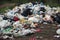 A pile of garbage in nature among the plants.Toxic plastic into nature