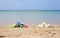 A pile of garbage next to a pile of beautiful seashells against the backdrop of the sea.