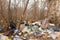Pile of garbage among trees and bushes. Environmental pollution concept