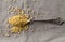 Pile of golden millet, a gluten free grain seed, in metal spoon on grey fabric background