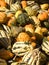 Pile of Gourds