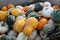 Pile of Gourds and Mini Pumpkins