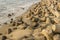 pile of gray concrete tetrapods protrude from the wet yellow sand. tsunami barrier