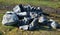 Pile of gray stones in the meadow. workers are catching stones to use on a rock garden in the park. quarry unworked irregular piec