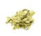 Pile of green fettucce pasta isolated