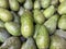 pile of green ripe avocados with water drops on them