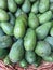 pile of green ripe avocados with water drops on them