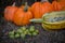 A pile of green walnuts on the ground placed next to a group of pumpkins. rich autumn harvest at the village farm