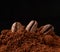 Pile of ground roasted coffee arabica and whole grains on a black background