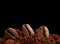 Pile of ground roasted coffee arabica and whole grains on a black background