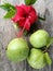 Pile of guava fruits from farm with red shoe flower on wooden table floor, Assortment of exotic fresh fruits. Red Hibiscus Flower.