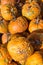 Pile of harvest orange warty pumpkins