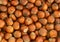 Pile of hazelnuts, horizontal background, food texture
