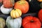 A pile of heirloom harvest pumpkins