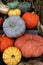 A pile of heirloom pumpkins