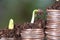 A pile of increasing dollar coins emerged from the soil and sprouts were growing on the coins