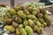 Pile of jackfruit at an Indian market