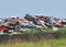 Pile of junked and wrecked cars.