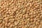Pile lentils background. Pile lentils texture. Top view