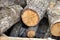 Pile of logs cut down, sawed tree trunks lie