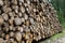 Pile of logs cut by loggers in the mountains 2