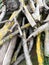 A pile of logs with yellow moss. A wooden texture