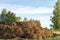 Pile of Manure on organic green farm field in countryside at sunrise