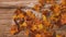 Pile of Maple Leaves Getting Blown With Wind and Revealing Happy Thanksgiving Message