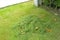 Pile of mown lawn grass in the spring garden