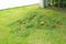 Pile of mown lawn grass in the spring garden