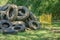 Pile of Muddy Tires and a Grocery Cart Collected After a Cleanup Event