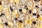 Pile Muesli Breakfast with oat flakes raisins. Close up view. The concept of Healthy eating. Abstract cereal grain pattern