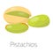 Pile of nuts vector illustration pistachios
