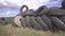 Pile of old car tyres storage. Stack of used tires junkyard. Heap black wheels ecology hazard. Illegal tire dump in the
