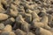 Pile of old gray concrete tetrapods close up, tsunami barrier