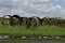 Pile of old steam engines wheels for salvage.