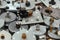 Pile of old stepper motors as industrial e-waste background