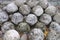 Pile of old stone cannonballs