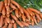 Pile of Orange Carrots