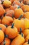 Pile of orange different size pumpkins at a pumpkin pile on a local halloween fair ground