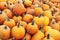 Pile of orange different size pumpkins at a pumpkin pile on a local halloween fair ground