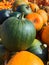 A pile of orange and green pumpkins. Autumn vertical photo background
