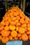 A Pile Orange Miniature Pumpkins at an Amish Market