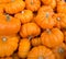 A Pile Orange Miniature Pumpkins at an Amish Market