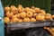 Pile of orange pumpkins in the back of a truck