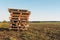 Pile of Pallets on the Autumn Fields