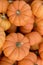 Pile of Petite Pumpkins