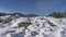 A pile of picturesque boulders is covered with a layer of pure white snow.