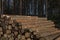 Pile of pine logs