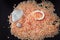 Pile of Pink Himalayan salt and seashell on dark background. Bath and beauty concept.Top view. Isolated